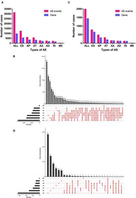 Identification of Survival-Associated Alternative Splicing Signatures in Lung Squamous Cell Carcinoma